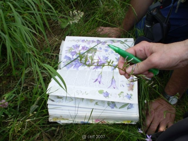 2007 05 Séjour en Brenne 097